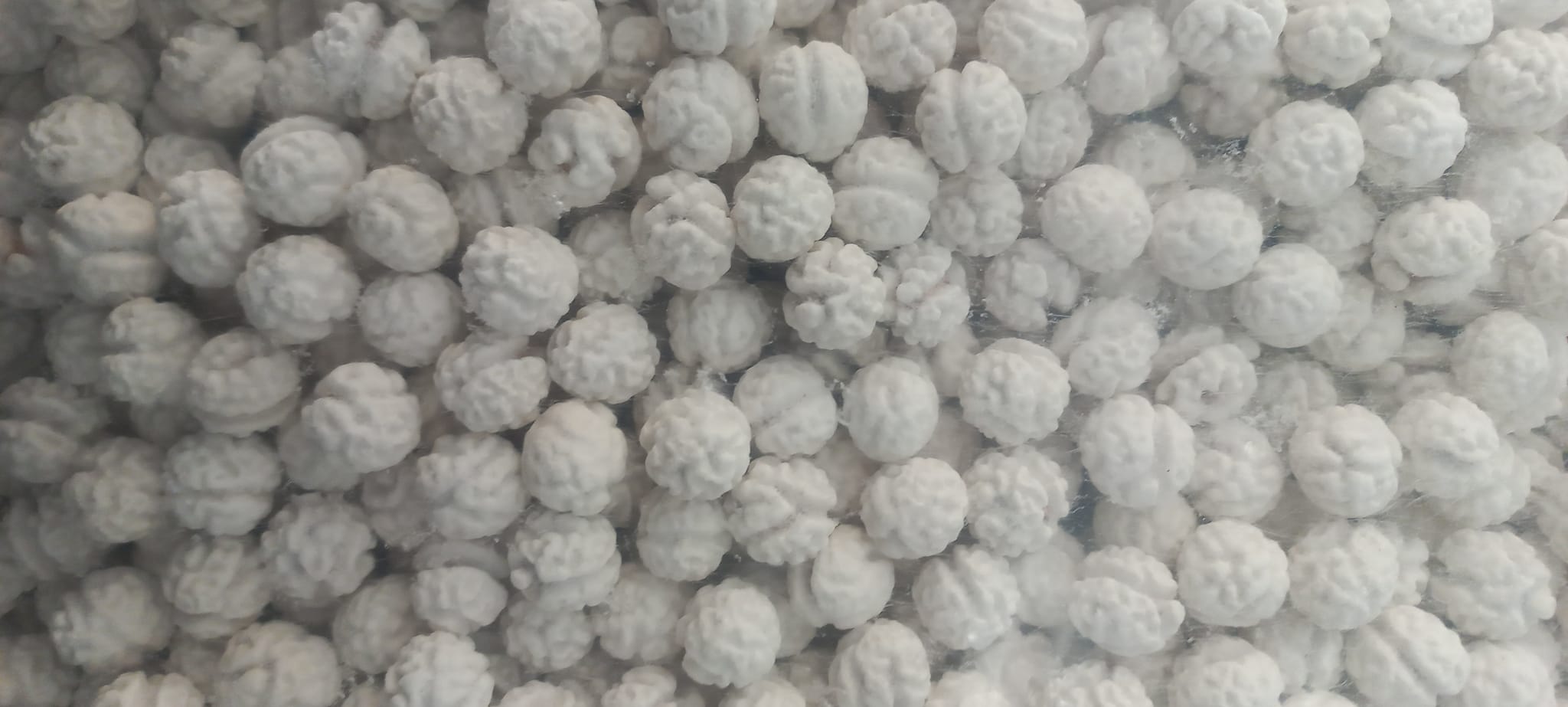 Öz Özgen karışık kuruyemiş çeşitleri - Vitamin deposu sağlıklı atıştırmalıklar